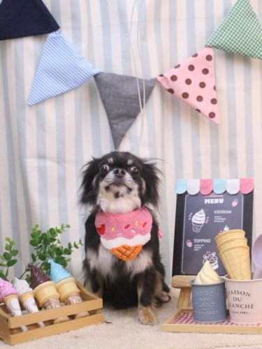 20250507らんまるちゃん